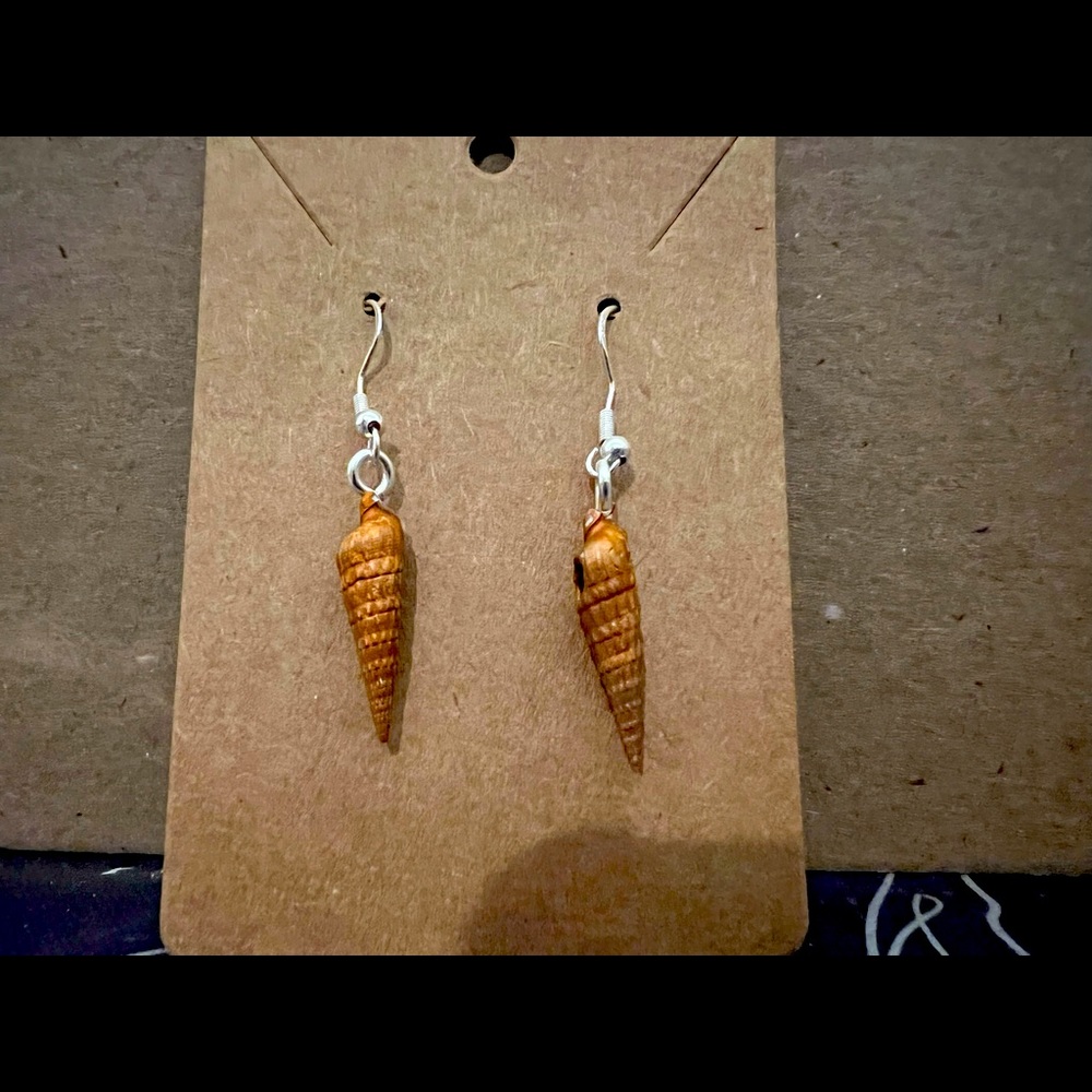Real sea shell earrings